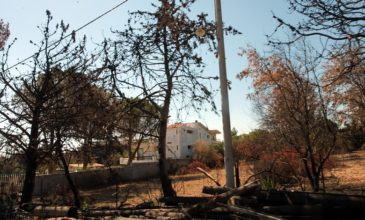 Πυρκαγιά στο Μάτι: Στις 17 Σεπτεμβρίου η απολογία του δημάρχου Ραφήνας-Πικερμίου, Ευάγγελου Μπουρνούς