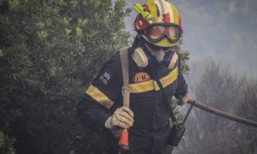 Θεσσαλονίκη: Υπό έλεγχο φωτιά σε δασική έκταση