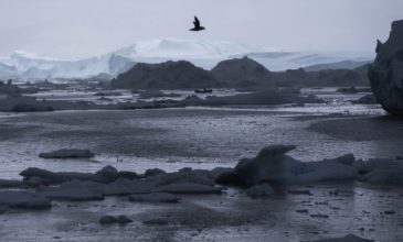 SOS από επιστήμονες: Η κλιματική αλλαγή προκαλεί «μη αναστρέψιμο» λιώσιμο πάγων στην Ανταρκτική