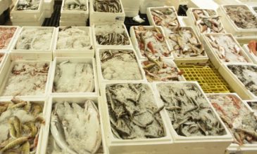 Κατάσχεση αλιευμάτων από το Λιμενικό που ξεπερνούν τους 21 τόνους