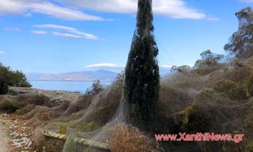 Απίστευτο τοπίο στην Βιστωνίδα με γιγαντιαίο ιστό αράχνης μήκους χιλίων μέτρων