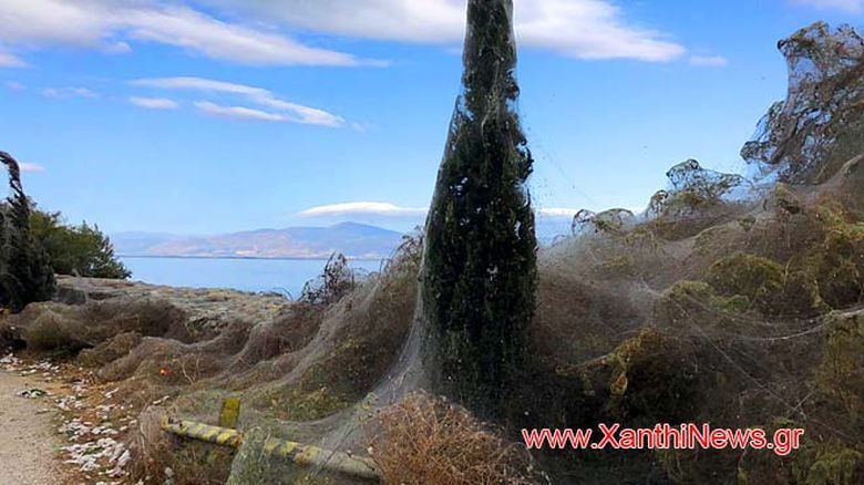Απίστευτο τοπίο στην Βιστωνίδα με γιγαντιαίο ιστό αράχνης μήκους χιλίων μέτρων