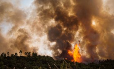 Νέα πυρκαγιά μέσα σε 24 ώρες κοντά στη Λίμνη Καϊάφα – Πνέουν ισχυροί άνεμοι