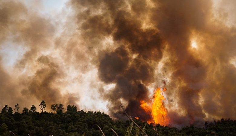 Νέα πυρκαγιά μέσα σε 24 ώρες κοντά στη Λίμνη Καϊάφα – Πνέουν ισχυροί άνεμοι