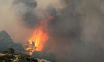 Ελαφρώς καλύτερη η εικόνα της πυρκαγιάς στη Σάρτη – Ελπίδες πως θα τεθεί υπό μερικό έλεγχο