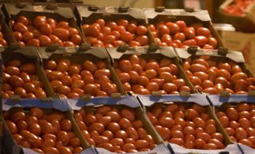 Δέσμευσαν 1,5 τόνο ντομάτες από επιχείρηση στον Πειραιά