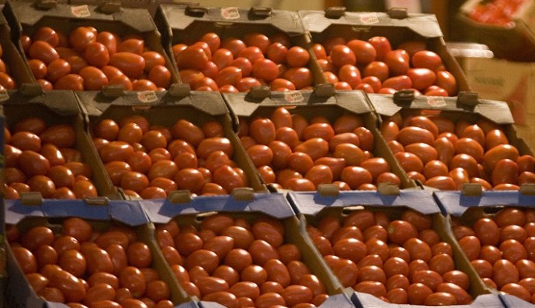 Κατασχέθηκε σχεδόν 1 τόνος ακατάλληλης ντομάτας Πολωνίας