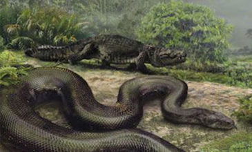 Τιτανοβόας, το φίδι – τέρας και η τρομακτική σύγκριση με τον άνθρωπο