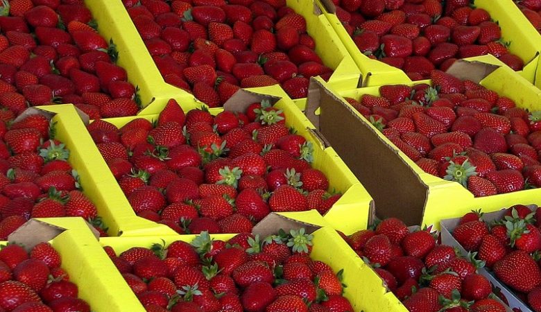 Αυτή είναι η χώρα που είναι πρώτη στις εξαγωγές κατεψυγμένης φράουλας με 140.000 τόνους