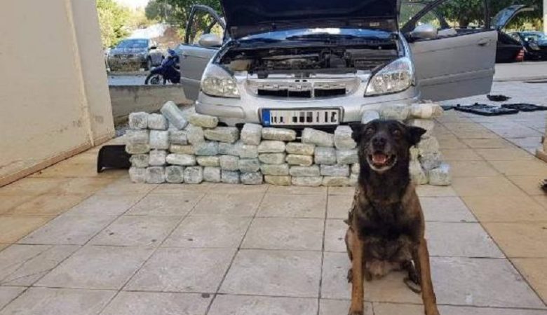 Αστυνομικός σκύλος εντόπισε 32 κιλά κάνναβης σε κρύπτη αυτοκινήτου