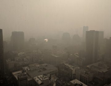Μαύρισε ο ουρανός στο Σαν Φρανσίσκο από τους καπνούς της πυρκαγιάς