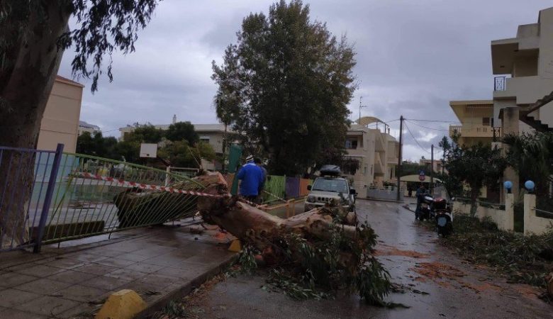 Πτώση δένδρου διέλυσε την περίφραξη σχολείου και ένα αυτοκίνητο