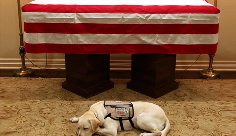 Η συγκινητική φωτογραφία με το σκύλο δίπλα στο φέρετρο του Τζορτζ Μπους
