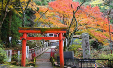 Τέσσερις λόγοι για να επισκεφθείτε την Οσάκα