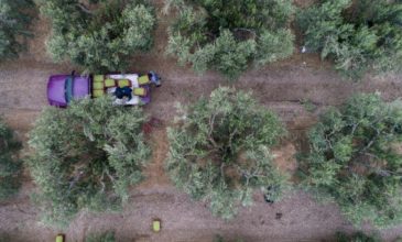 Κορονοϊός: Ακατάσχετες και αφορολόγητες οι ενισχύσεις των αγροτών