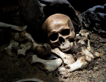 Δείτε το πρόσωπο του «αρχαιότερου ανθρώπου» στη Γη – Έζησε πριν από 45.000 χρόνια