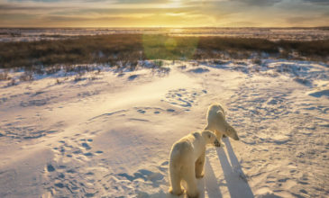 Το 2018 ήταν η δεύτερη πιο ζεστή χρονιά για την Αρκτική από το 1900