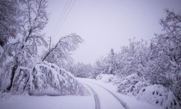 Σε κατάσταση εκτάκτου ανάγκης λόγω «Τηλέμαχου» δήμοι στις Σέρρες και το Κιλκίς