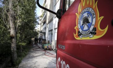 Πάνω από 100 κλήσεις στην πυροσβεστική για πτώσεις δέντρων στην Αττική