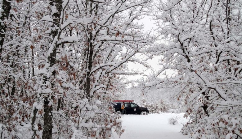 Η «Σοφία» βάζει τη χώρα στην κατάψυξη – Πυκνές χιονοπτώσεις, πολικό ψύχος και θυελλώδεις άνεμοι