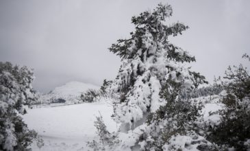Καιρός – Σάκης Αρναούτογλου: Έρχονται χιόνια το Σάββατο – «Δεν αποκλείεται να πασπαλίσει και πάνω περίπου από τα 1.200 μέτρα!»