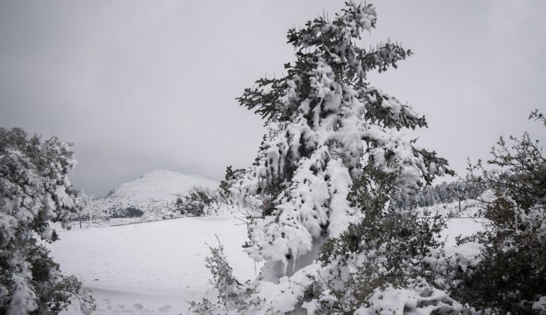 Καιρός – Σάκης Αρναούτογλου: Έρχονται χιόνια το Σάββατο – «Δεν αποκλείεται να πασπαλίσει και πάνω περίπου από τα 1.200 μέτρα!»