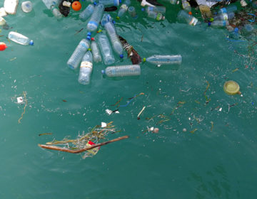 Βρήκαν πλαστικά σκουπίδια στο πιο βαθύ σημείο της θάλασσας