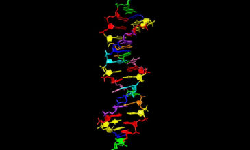 Επιστήμονες κατάφεραν να αλλάξουν τον κώδικα του DNA