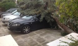 Δέντρο καταπλάκωσε το αυτοκίνητο Έλληνα ηθοποιού