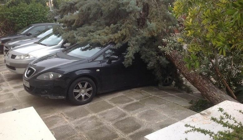 Δέντρο καταπλάκωσε το αυτοκίνητο Έλληνα ηθοποιού