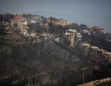 Δίκη για την φονική πυρκαγιά στο Μάτι: «Δεν πρέπει οι αυτοδιοίκητοι να είναι οι αυτοφοράκηδες αυτού τους κράτους»