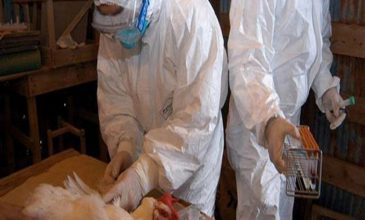 Κίνα: Γυναίκα το πρώτο θανατηφόρο κρούσμα στον κόσμο από την γρίπη των πτηνών