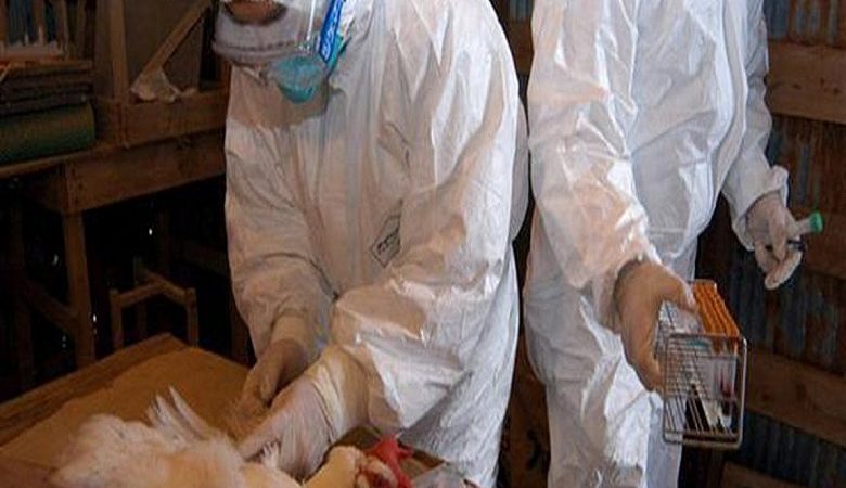 Κίνα: Γυναίκα το πρώτο θανατηφόρο κρούσμα στον κόσμο από την γρίπη των πτηνών