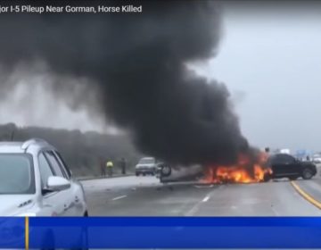 Καραμπόλα 50 αυτοκίνητων στο Λος Άντζελες λόγω πυκνής ομίχλης