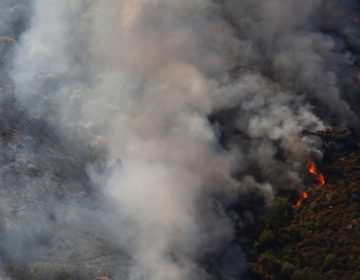 Μεγάλες δασικές πυρκαγιές σε Ισπανία και Πορτογαλία