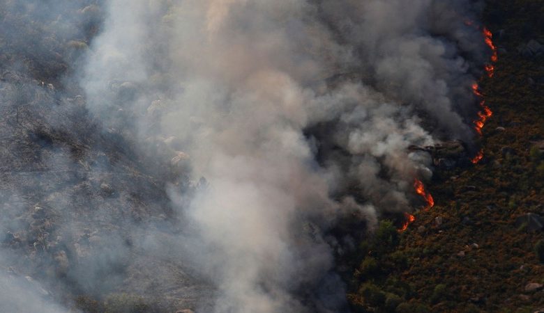 Μεγάλες δασικές πυρκαγιές σε Ισπανία και Πορτογαλία