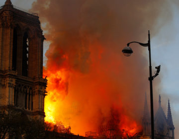 Τεράστια η καταστροφή στην Παναγία των Παρισίων – Παγκόσμια θλίψη
