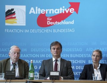 Άνοδος του ακροδεξιού AfD καταγράφεται στη Γερμανία