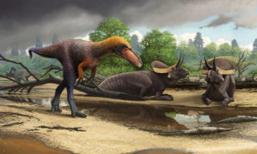 Ανακαλύφθηκε μικρομεσαίος πρόγονος του Τυραννόσαυρου
