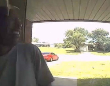 Φίδι επιτέθηκε και δάγκωσε ανυποψίαστο άντρα στο πρόσωπο