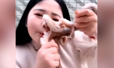 Vlogger προσπαθεί να φάει ωμό χταπόδι και εκείνο της επιτίθεται