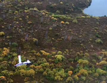 Δύο υδροπλάνα συγκρούστηκαν στον αέρα στην Αλάσκα, πέντε νεκροί