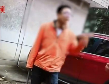 Χτύπησε μέχρι θανάτου αδέσποτο σκύλο επειδή… γαύγιζε