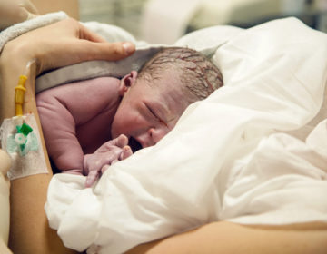 Πολωνέζα γέννησε φυσιολογικά… εξάδυμα