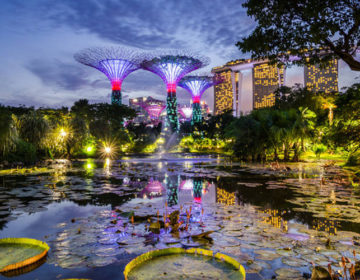 Ο φουτουριστικός πράσινος κήπος της Σιγκαπούρης