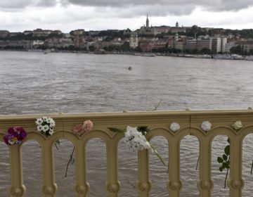 Συνελήφθη ο καπετάνιος κρουαζιερόπλοιου που εμπλέκεται στην τραγωδία στο Δούναβη