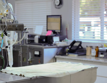 Μια διαφήμιση για «δωρεάν ευνουχισμό άπιστων συζύγων» εκνεύρισε τους Ρώσους