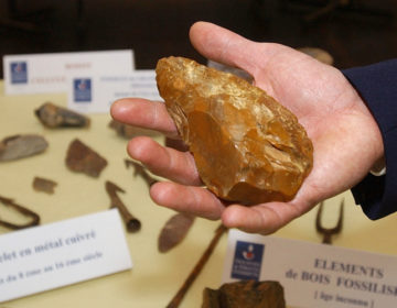 Πόσες φορές ανακάλυψαν τα λίθινα εργαλεία οι πρόγονοι του σύγχρονου ανθρώπου