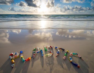 Τέλος τα πλαστικά μιας χρήσης στον Καναδά