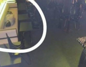 Αφεντικό έπιασε τον υπάλληλο του να κοιμάται και η αντίδραση του είναι επική